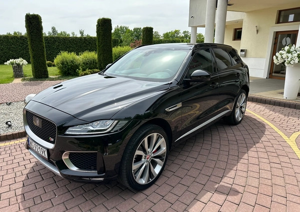 Jaguar F-Pace cena 149900 przebieg: 55000, rok produkcji 2016 z Górzno małe 781